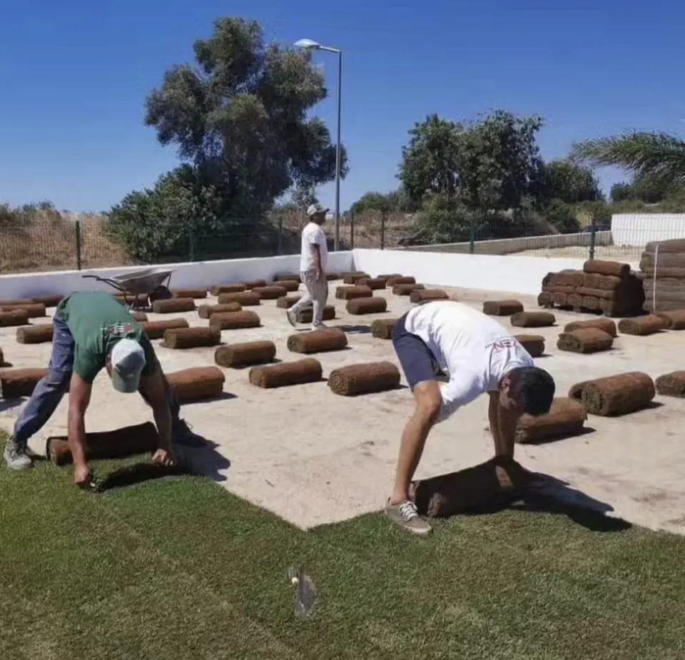 Equipa a estender rolos de relva num jardim em construção